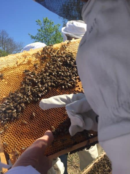 0C448DEE-D162-48B4-90E1-3011DF009C08-export