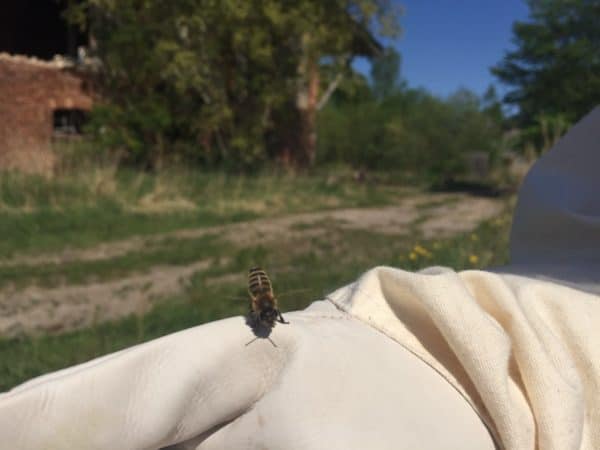 14DE8EA0-0FB9-4751-93BE-111FB7CBDF66-export