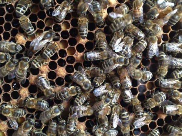 2016-05-19-PHOTO-00000022