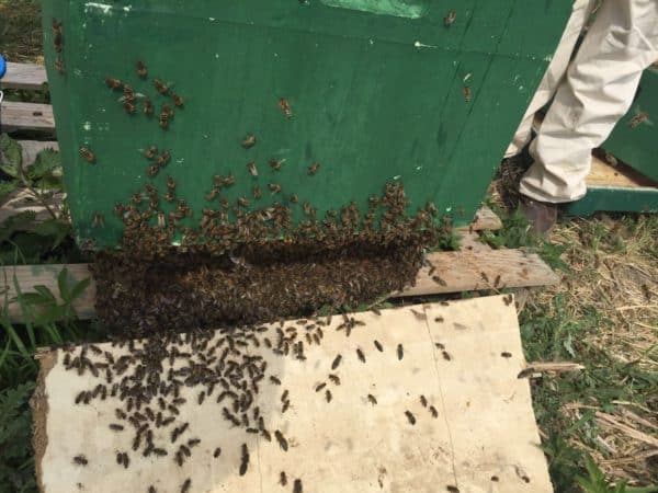 2016-05-19-PHOTO-00000023