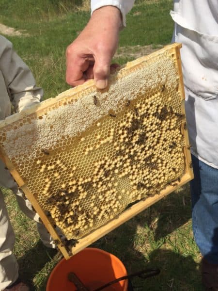 2016-05-19-PHOTO-00000024