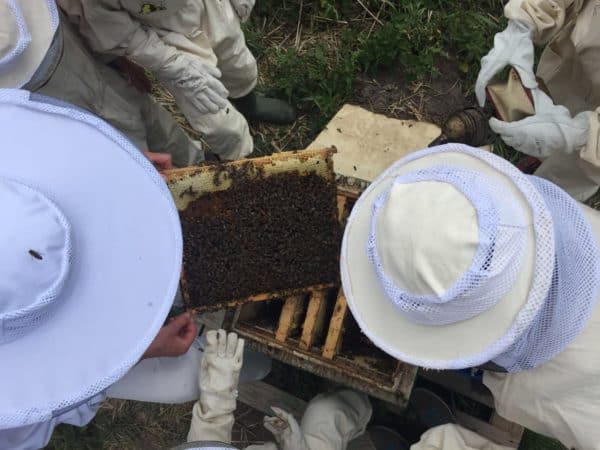 2016-05-19-PHOTO-00000025