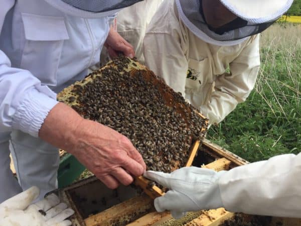 2016-05-19-PHOTO-00000029