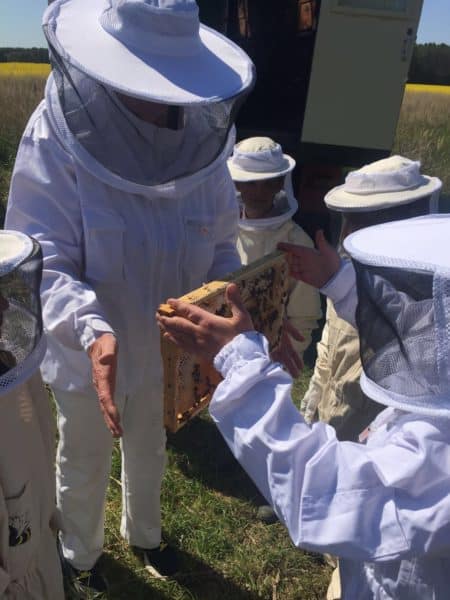 BE29BEBF-2932-4FAE-B246-7C4A6EFB6132-export