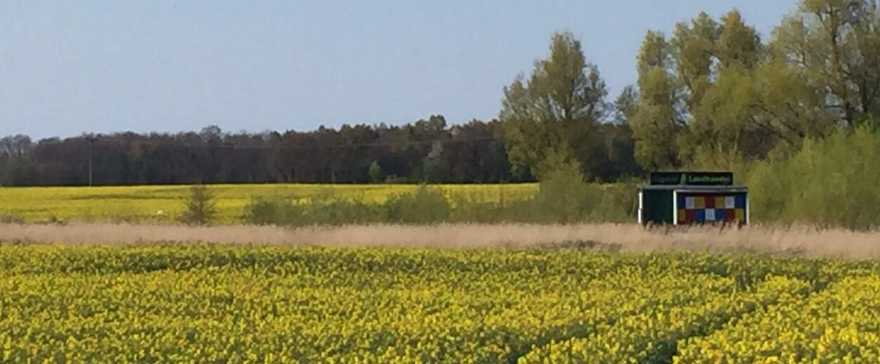 Bienenwagen Bussvitz 2.1JPG