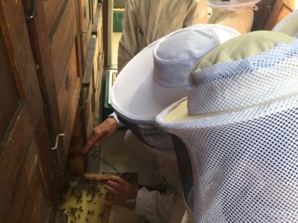 DB05E2BD-05BD-467B-9CB4-5D212CB07809-export