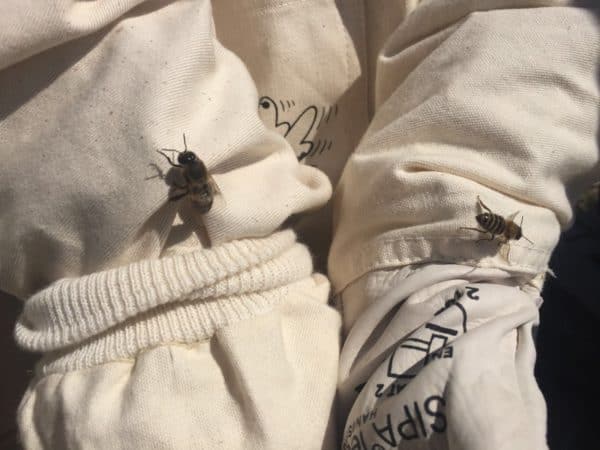 FA79C37C-FCE5-4B48-9197-D4A64F0BE749-export