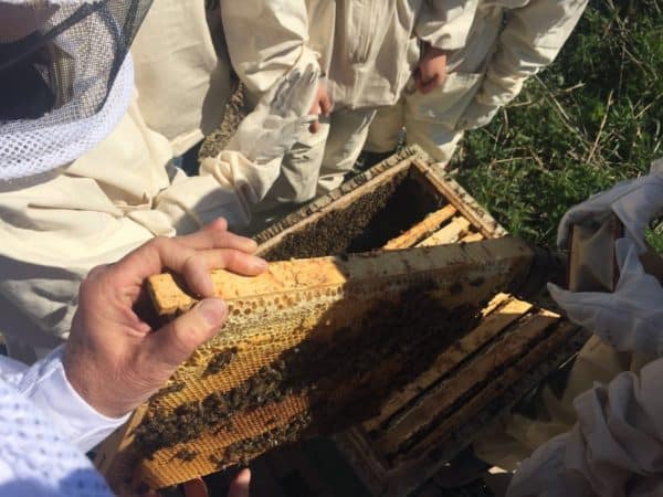 FAF151DC-CEB2-41DA-A31D-16F902AD83DE-export